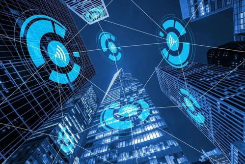 智网安云 东西湖企业守护中国西北网络安全，引领网络技术开发创新